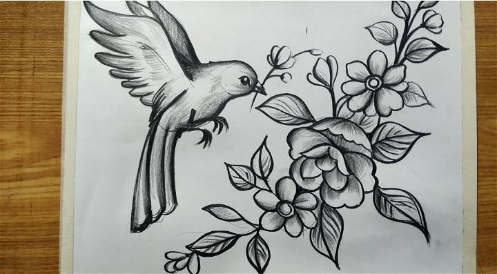 Bird and Flower Drawing