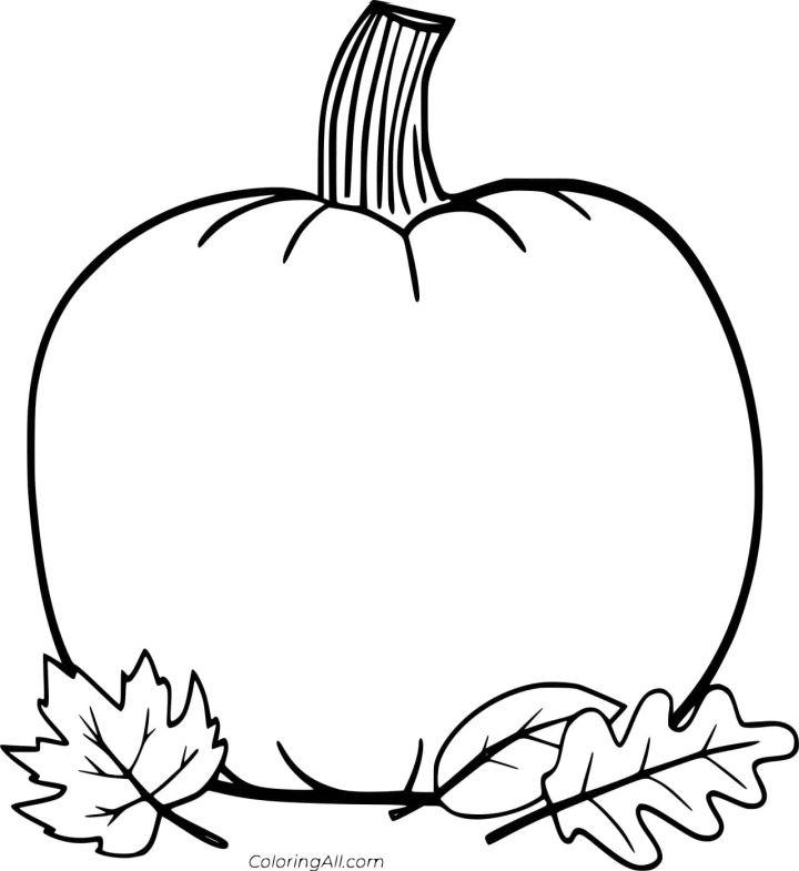 Blank Pumpkin With Leafs Coloring Page