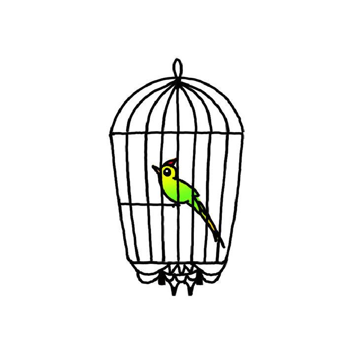 Caged Bird Drawing