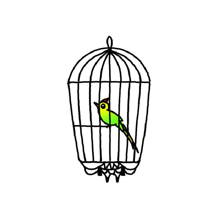 The Caged Bird