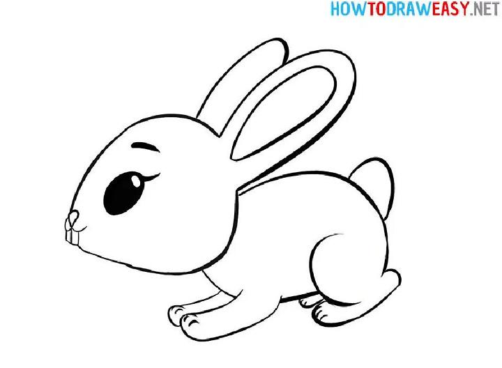 Cartoon Bunny Drawing