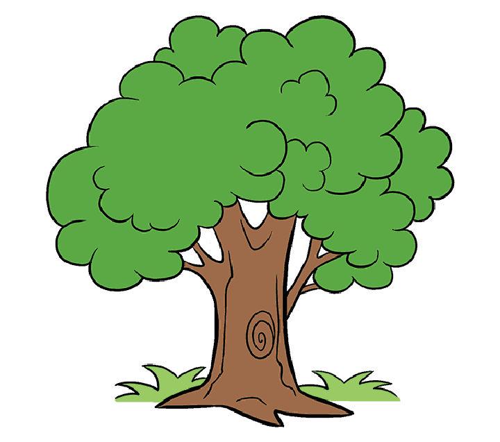 Cartoon Detailed Tree Drawing