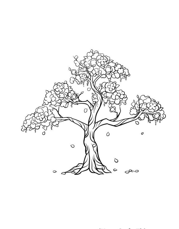 Cherry Blossom Tree Drawing 