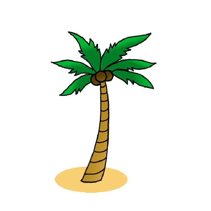 Coconut Tree Drawing