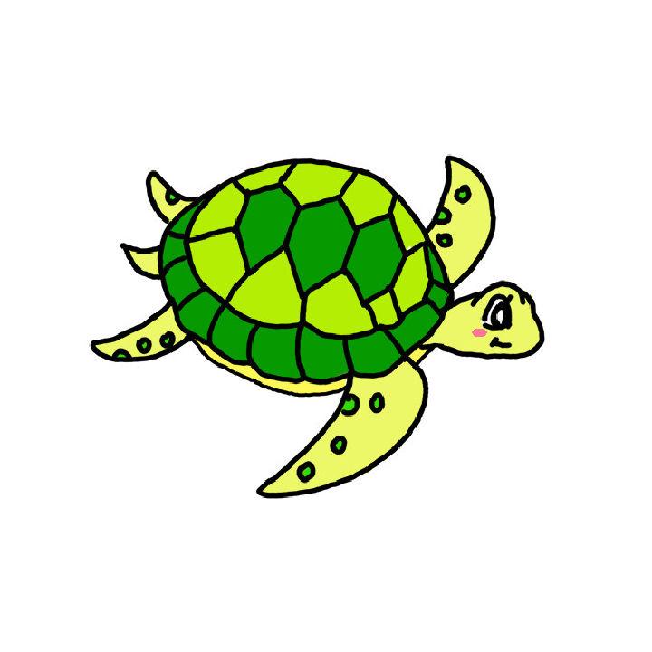 Color Sea Turtle Drawing