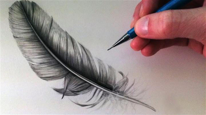 Crow Feather Drawing