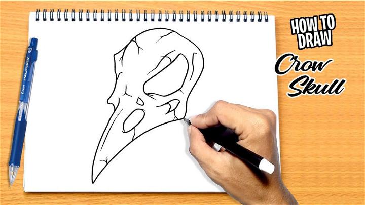 Crow Skull Drawing