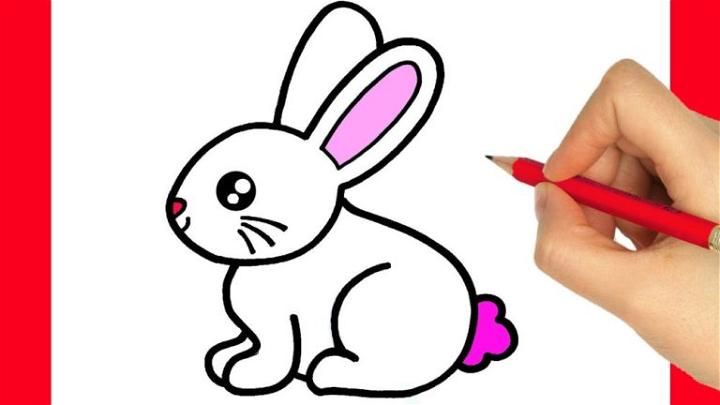 25 Easy Bunny Drawing Ideas - How to Draw a Bunny