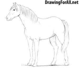 25 Easy Horse Drawing Ideas - How To Draw A Horse - Blitsy