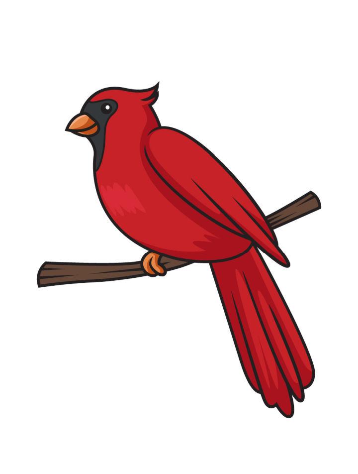 Cute Red Bird Drawing