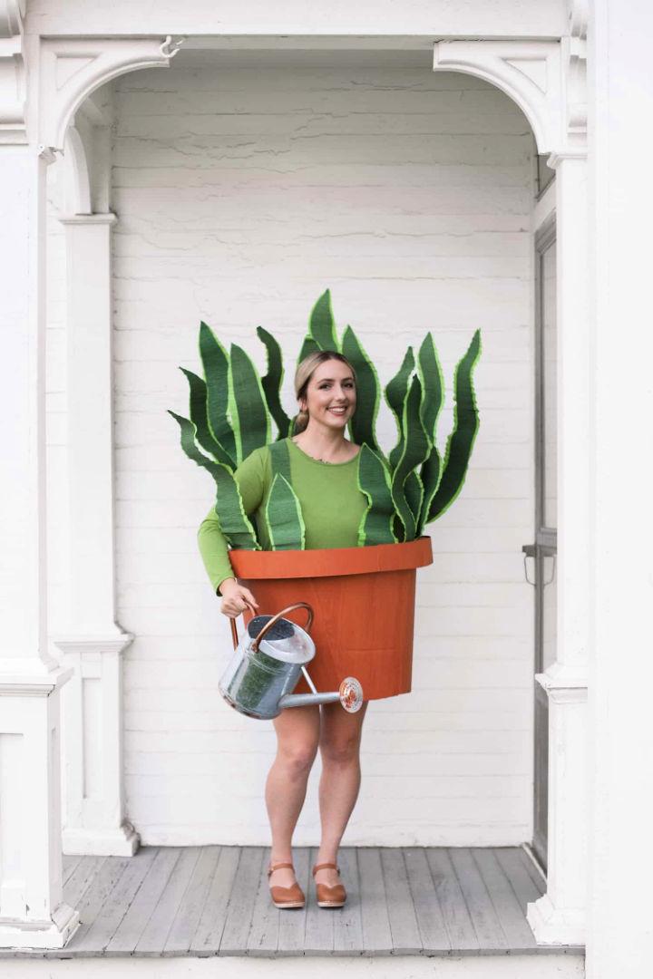 DIY Houseplant Halloween Boxtume