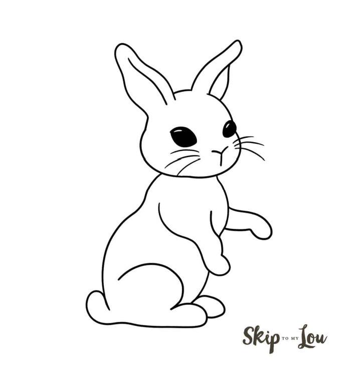 Premium Vector | How to draw doodle cute rabbit for coloring book vector  illustration