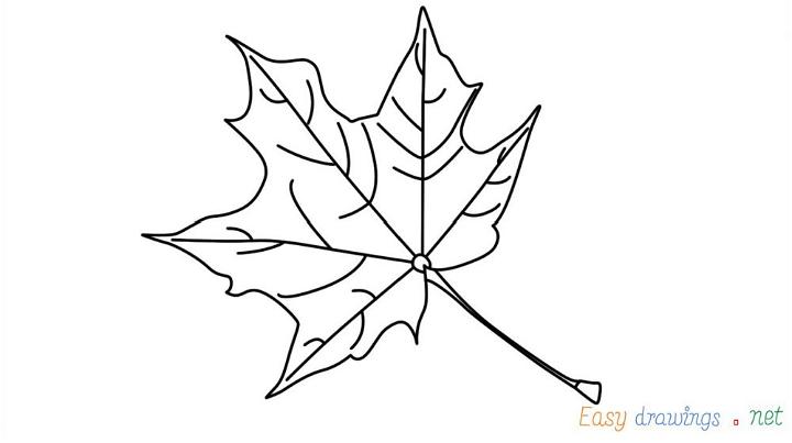 Draw a Fall Leaf for Beginners