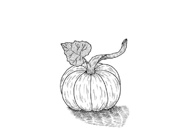 Draw a Fall Pumpkin