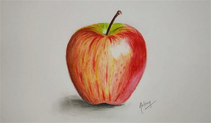 Draw a Realistic Apple for Beginners