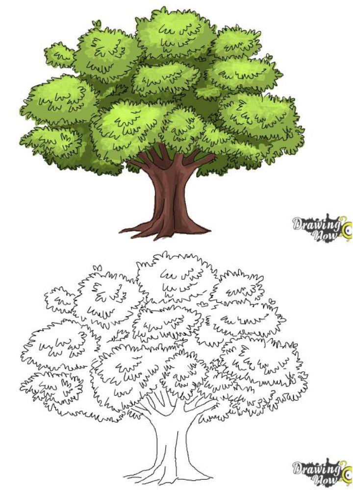 Expressive Colorful Handdrawn Tree. Color Pencil Drawing Stock Photo,  Picture and Royalty Free Image. Image 115422862.