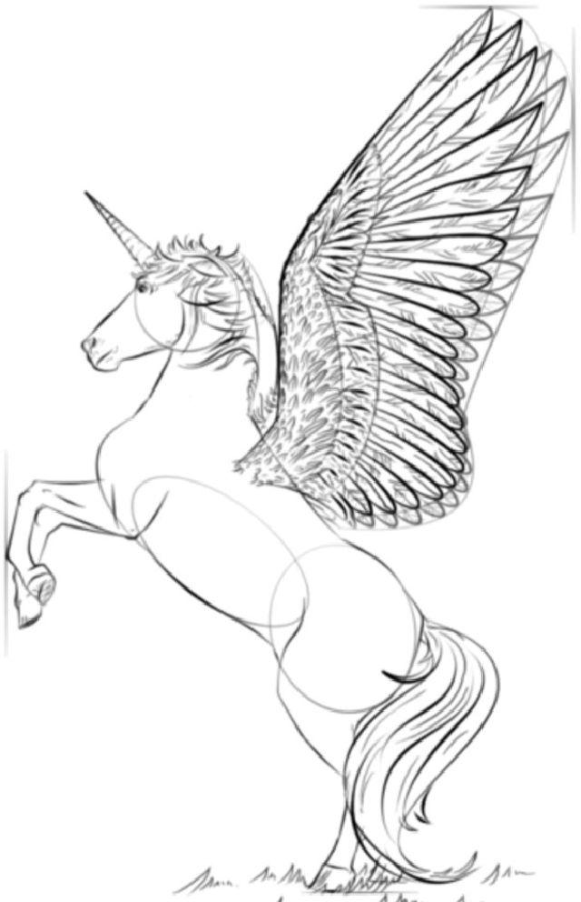 Draw a Realistic Unicorn