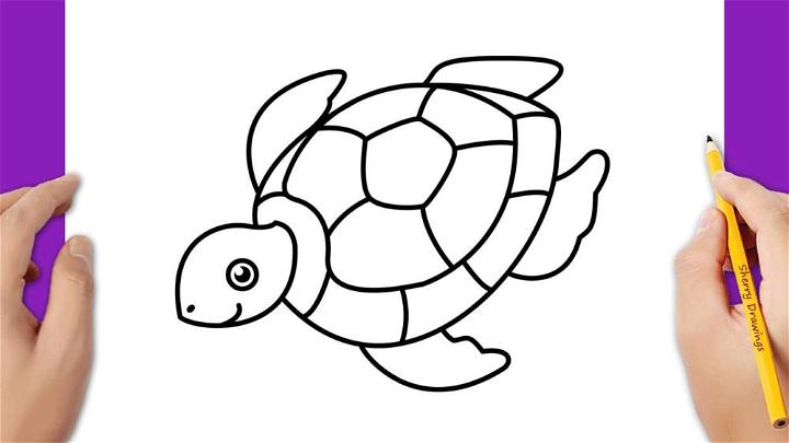 Draw a Sea Turtle with Pencil