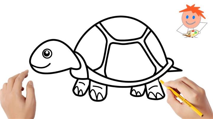 Draw a Turtle