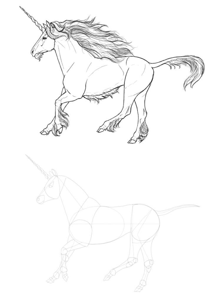 Draw a Unicorn Step by Step Instruction