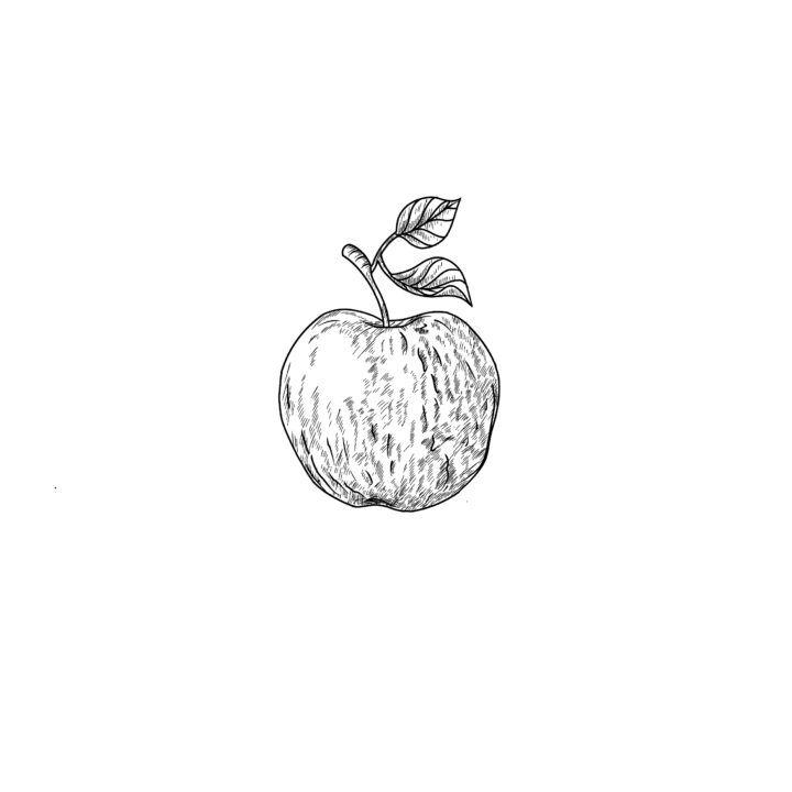 Draw an Apple with Shading