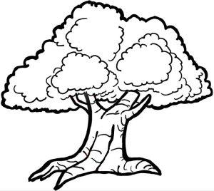 40 Easy Tree Drawing Ideas - How To Draw A Tree - Blitsy