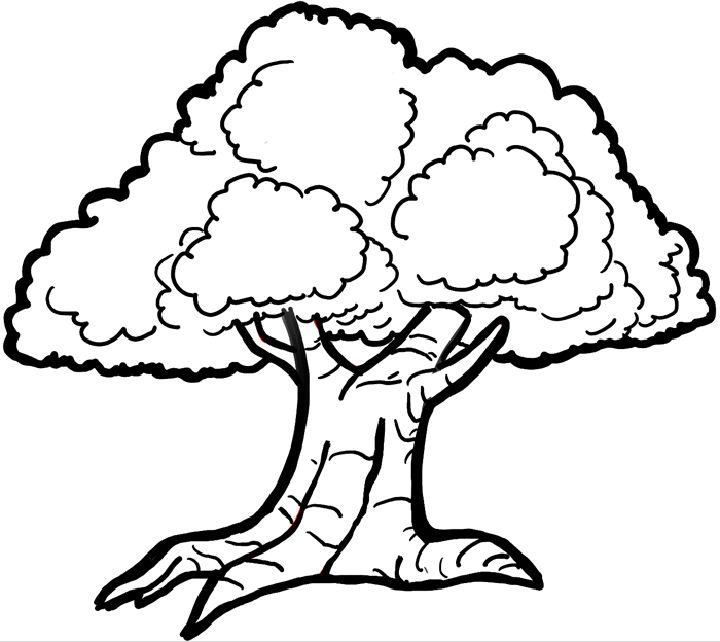 Drawing of Cartoon Tree