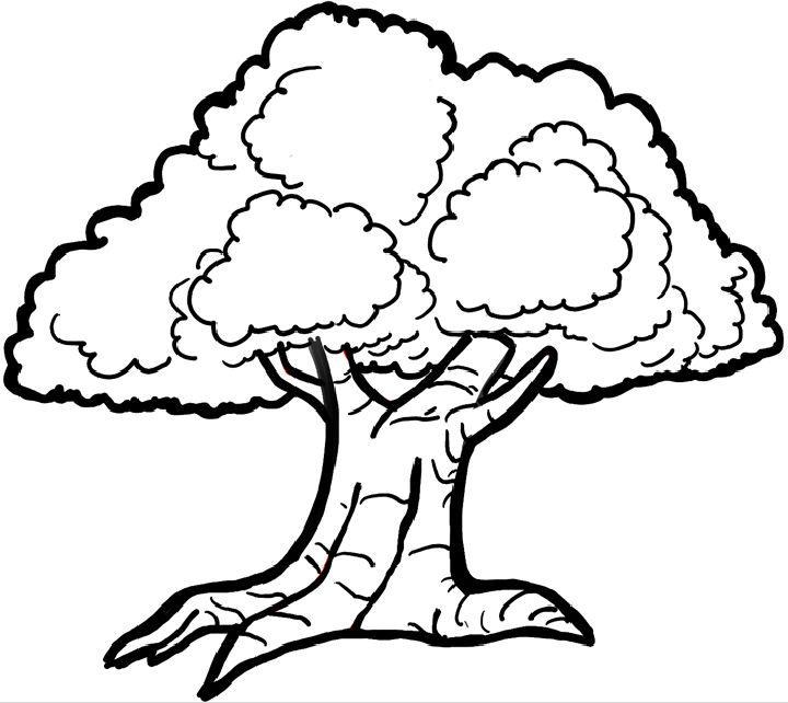 Drawing of Cartoon Tree 