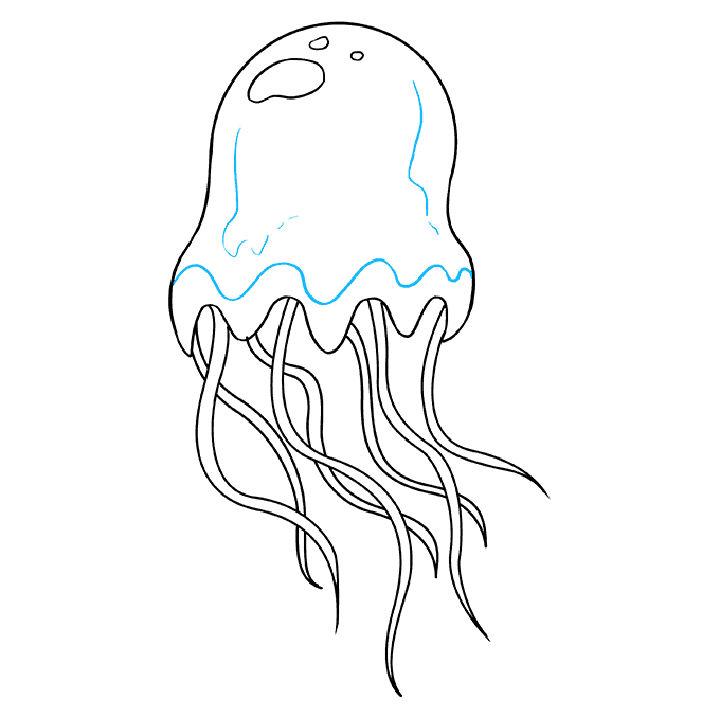 Drawing of Jellyfish