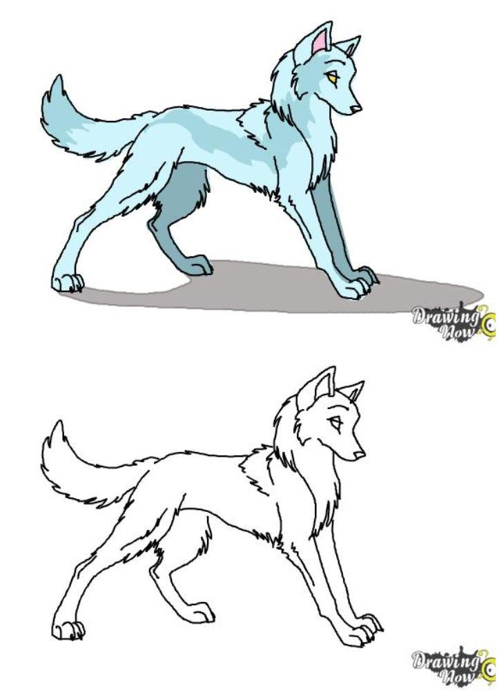 Drawing of a Anime Wolves