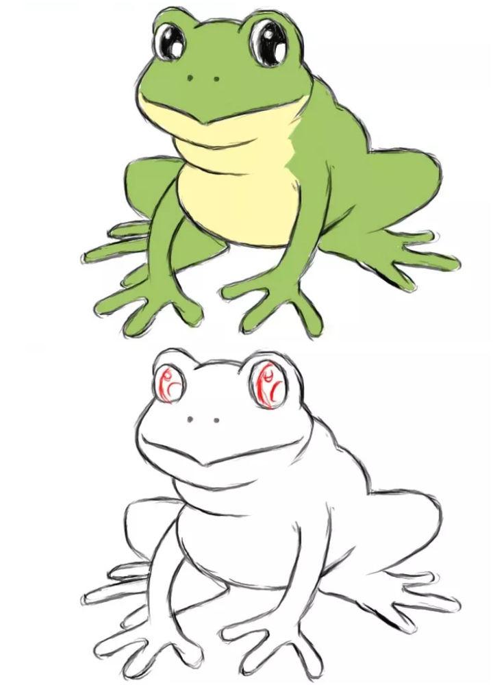 Drawing of a Frog