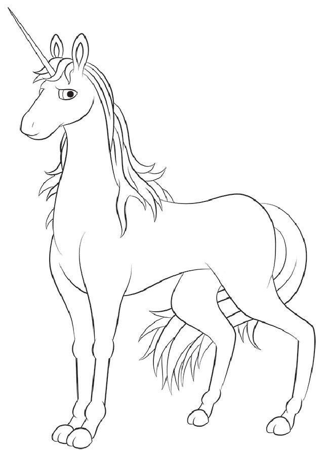 Drawing of a Unicorn