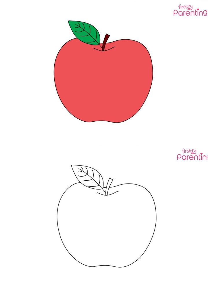 Drawing of an Apple