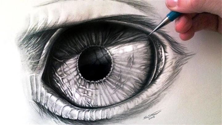 Eagle Eye Drawing