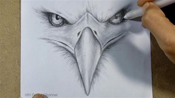 Eagle Face Drawing