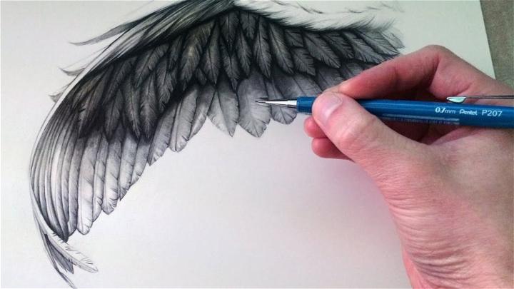 Eagle Wing Drawing