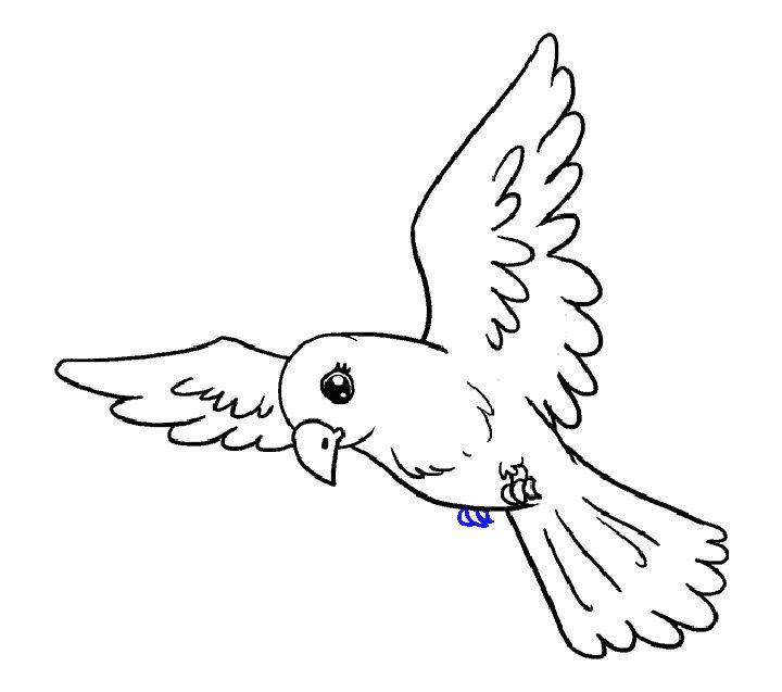 Easy Bird in Flight Drawing