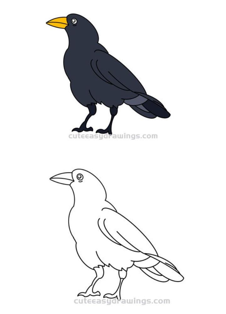 Easy Crow Drawing for Kids