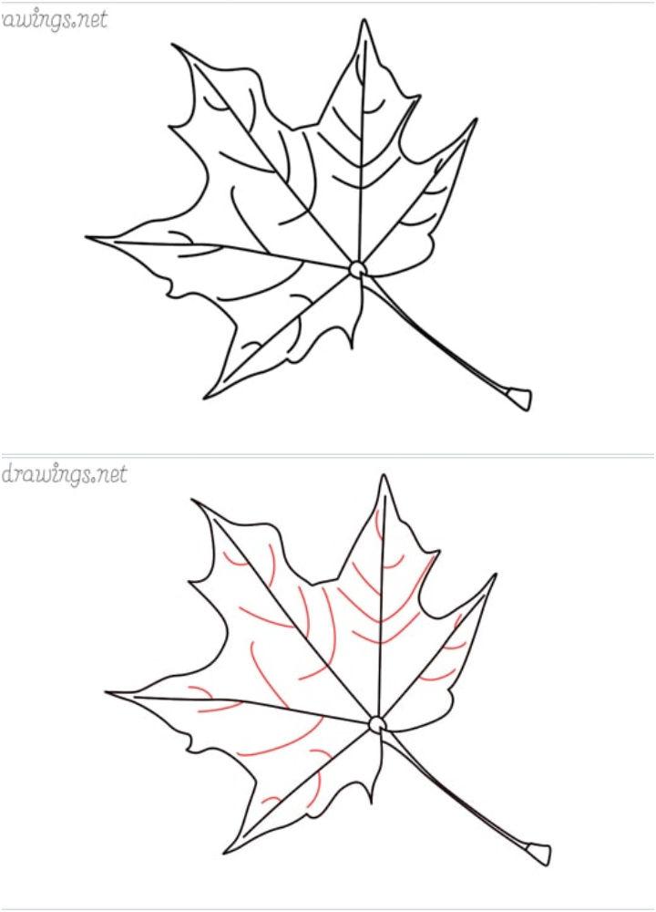 Easy Fall Leaf Drawing