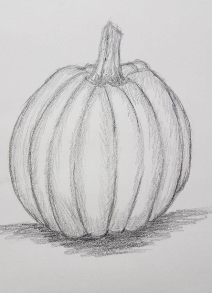 Easy Pumpkin Drawing