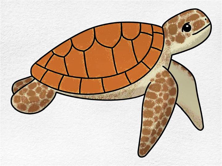 Easy Sea Turtle Drawing