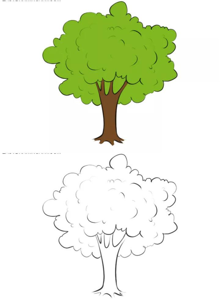 20 Easy Tree Drawing Ideas