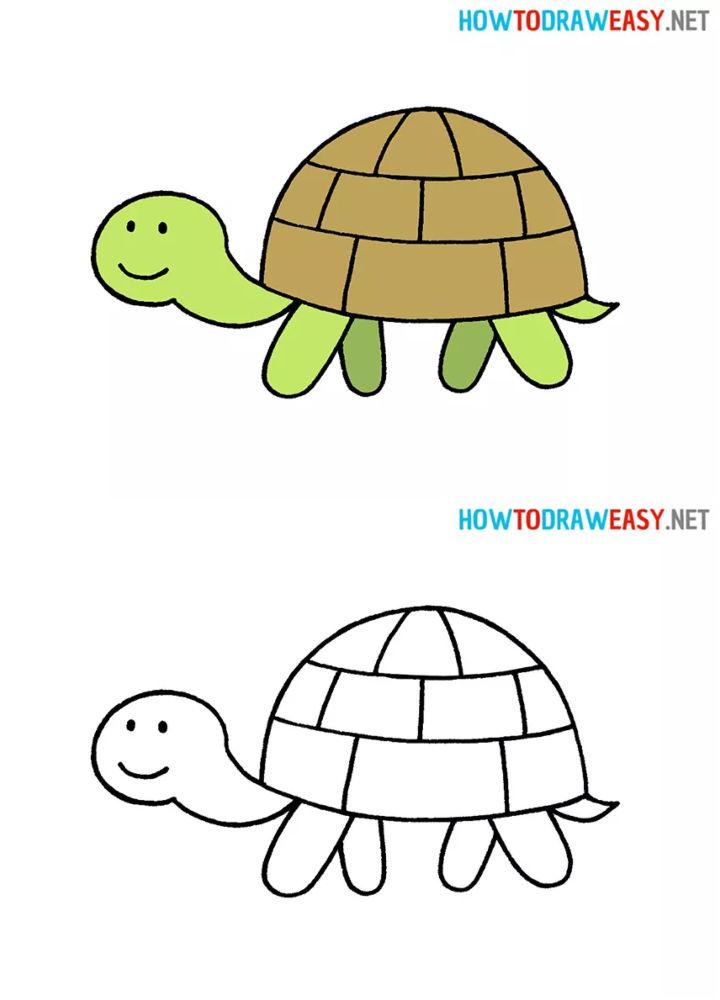 Easy Way to Draw a Turtle
