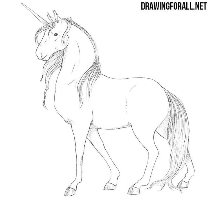 10 Amazing and Easy Step by Step Tutorials & Ideas on How to Draw a Unicorn  with Pencils and more…