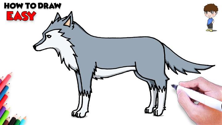 Easy Way to Draw a Wolf