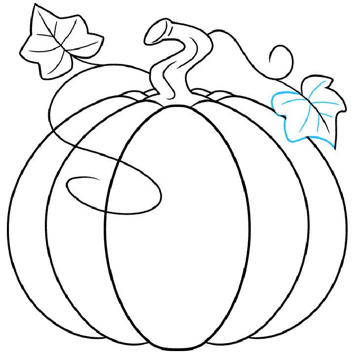 25 Easy Pumpkin Drawing Ideas  How To Draw A Pumpkin  Blitsy