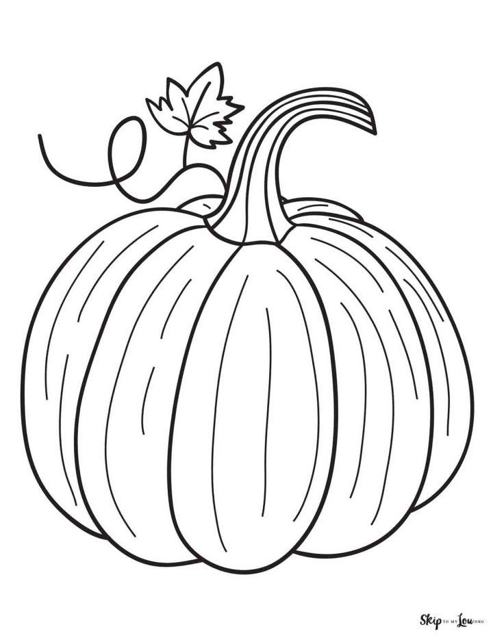 Free Printable Pumpkin Pictures To Color