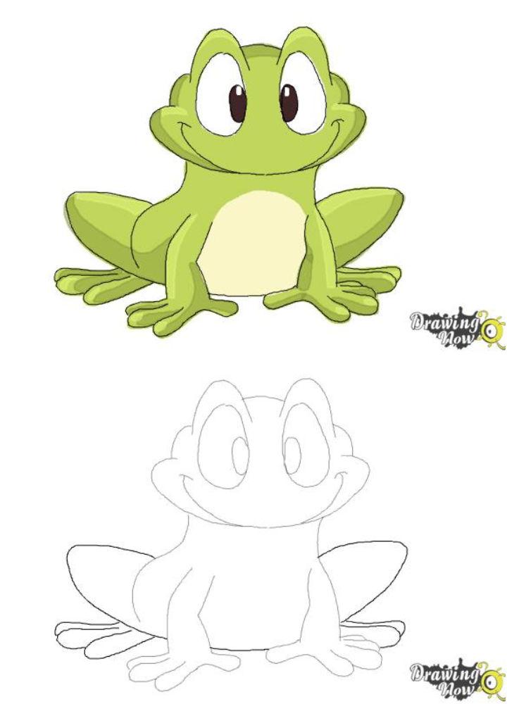 Frog Drawing for Kids
