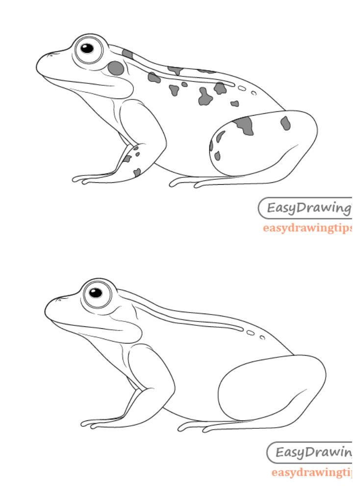 Discover more than 186 realistic frog drawing