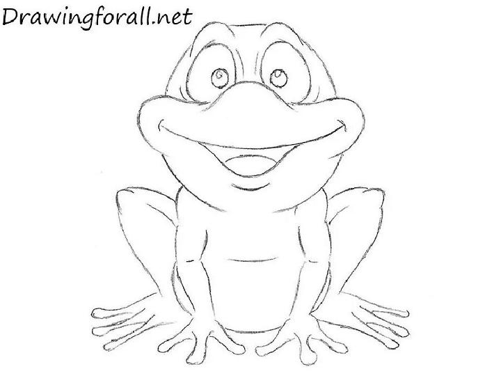 Frog Sketch Drawing